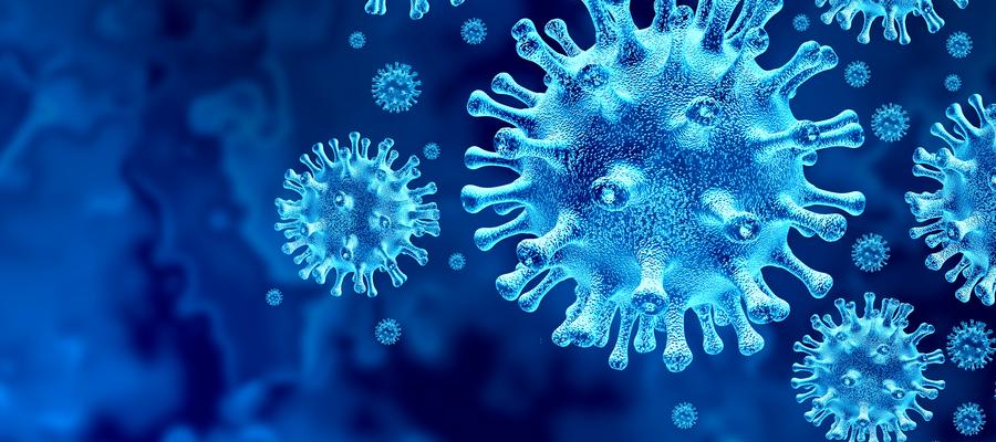 virus
